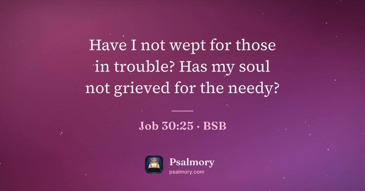 Job 30:25 verse artwork: Have I not wept for those in trouble? Has my soul not grieved for the needy?