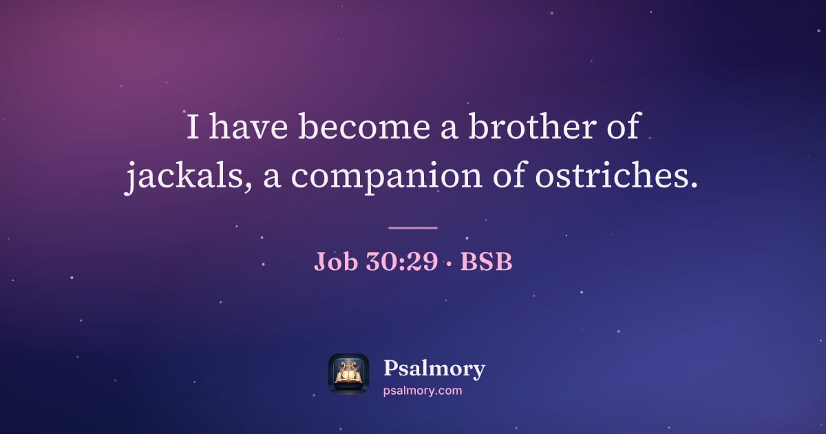 Job 30:29 verse artwork: I have become a brother of jackals, a companion of ostriches.