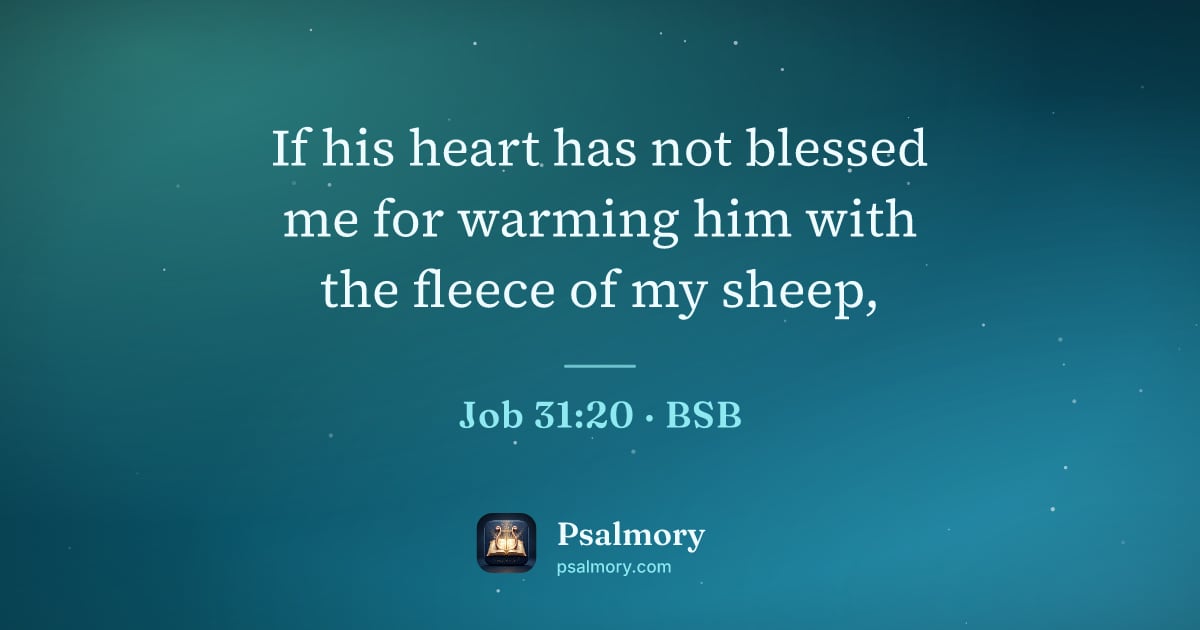 Job 31:20 verse artwork: If his heart has not blessed me for warming him with the fleece of my sheep,