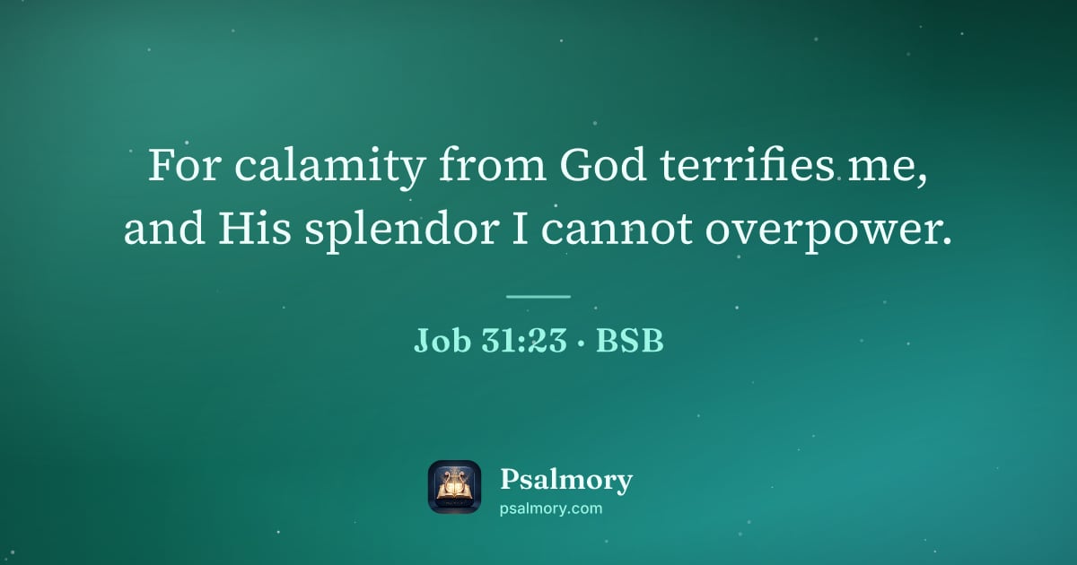 Job 31:23 verse artwork: For calamity from God terrifies me, and His splendor I cannot overpower.