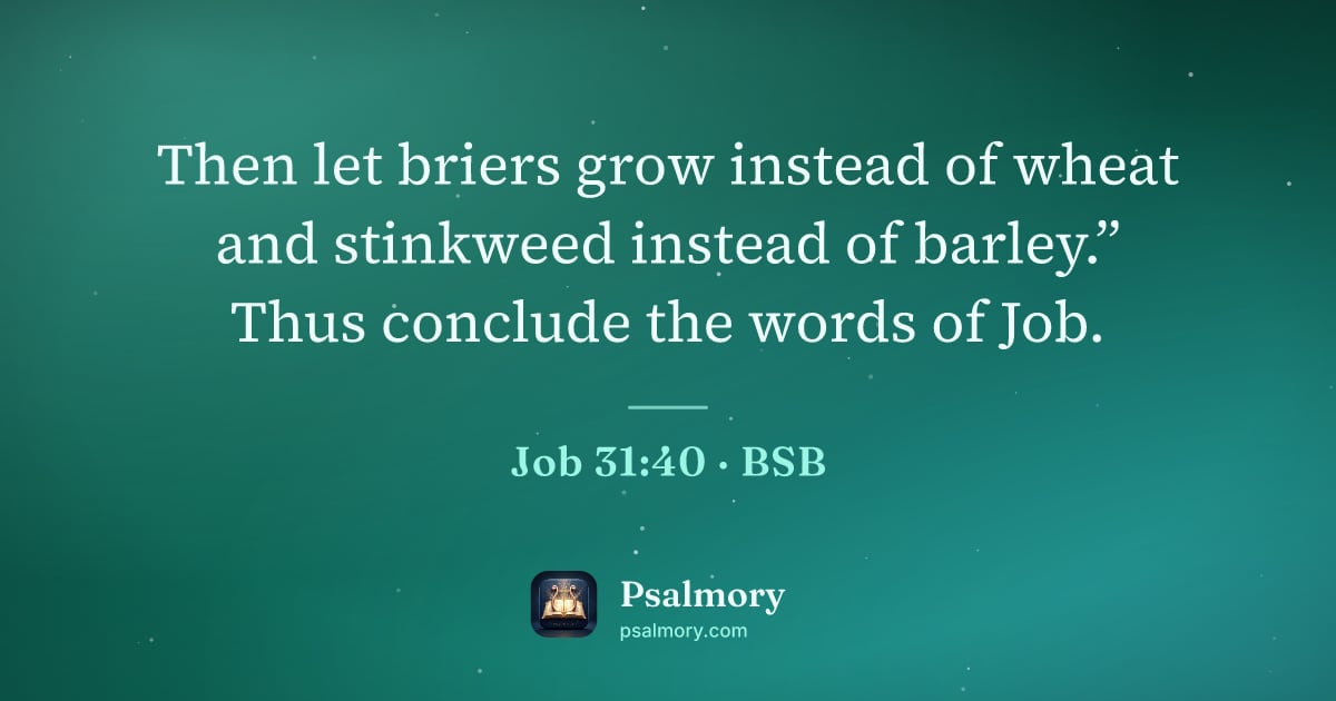 Job 31:40 verse artwork: Then let briers grow instead of wheat and stinkweed instead of barley.” Thus conclude…
