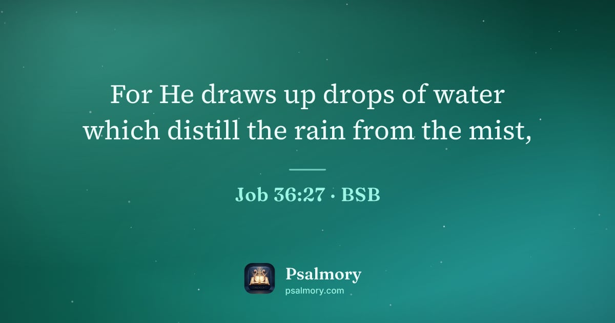 Job 36:27 verse artwork: For He draws up drops of water which distill the rain from the mist,