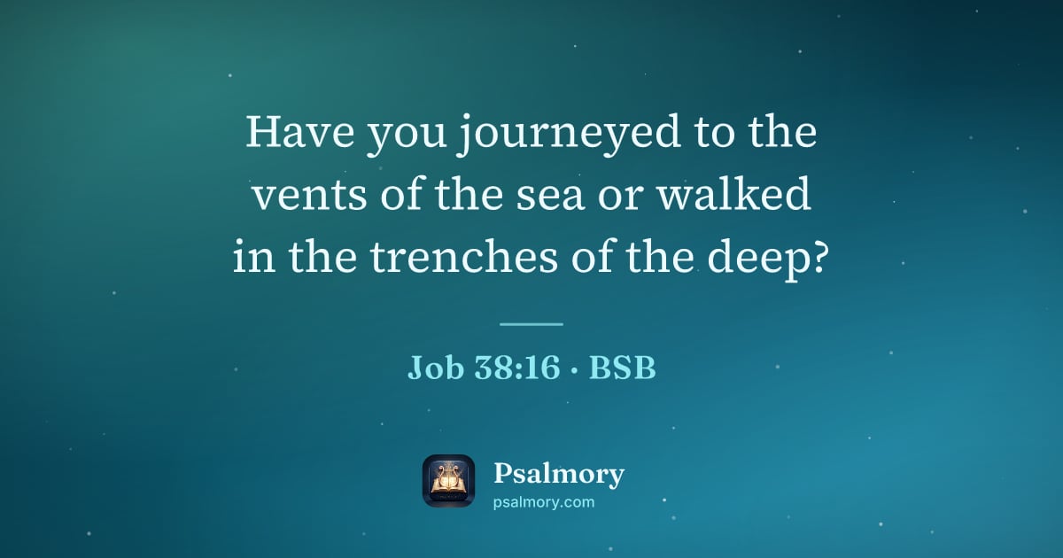 Job 38:16 verse artwork: Have you journeyed to the vents of the sea or walked in the trenches of the deep?
