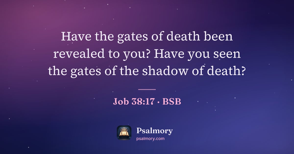 Job 38:17 verse artwork: Have the gates of death been revealed to you? Have you seen the gates of the shadow of…