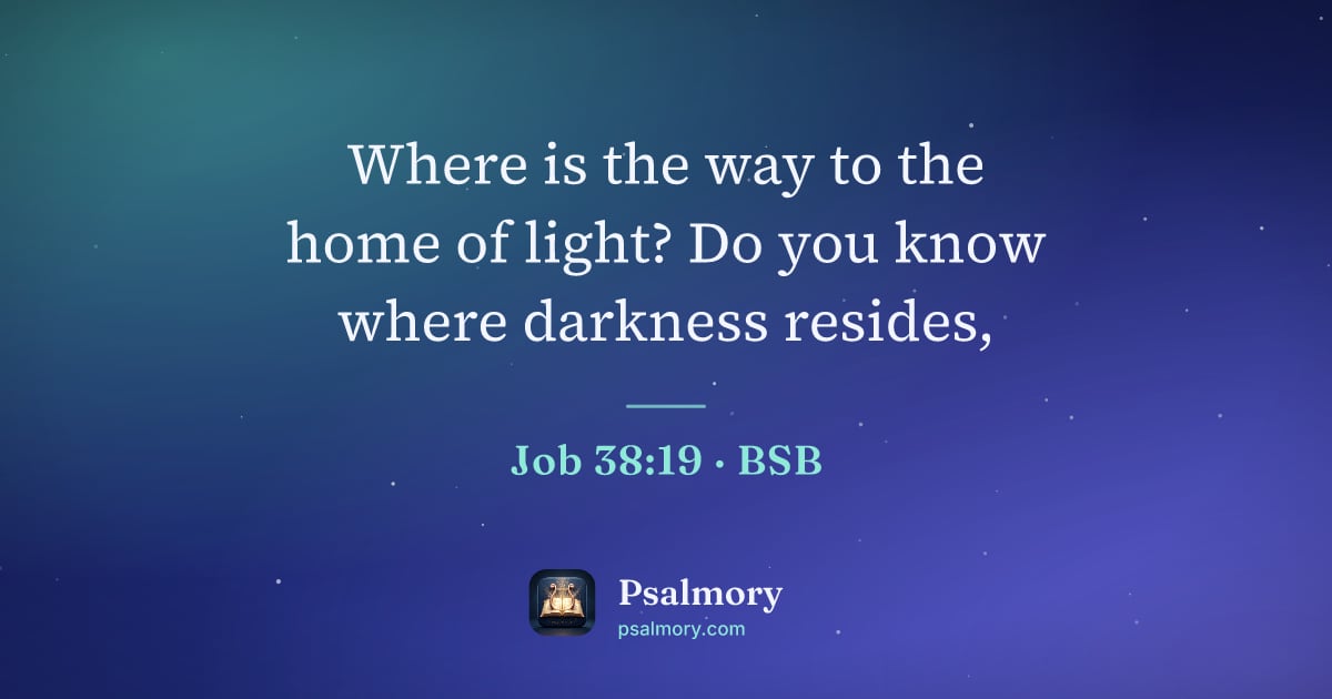 Job 38:19 verse artwork: Where is the way to the home of light? Do you know where darkness resides,