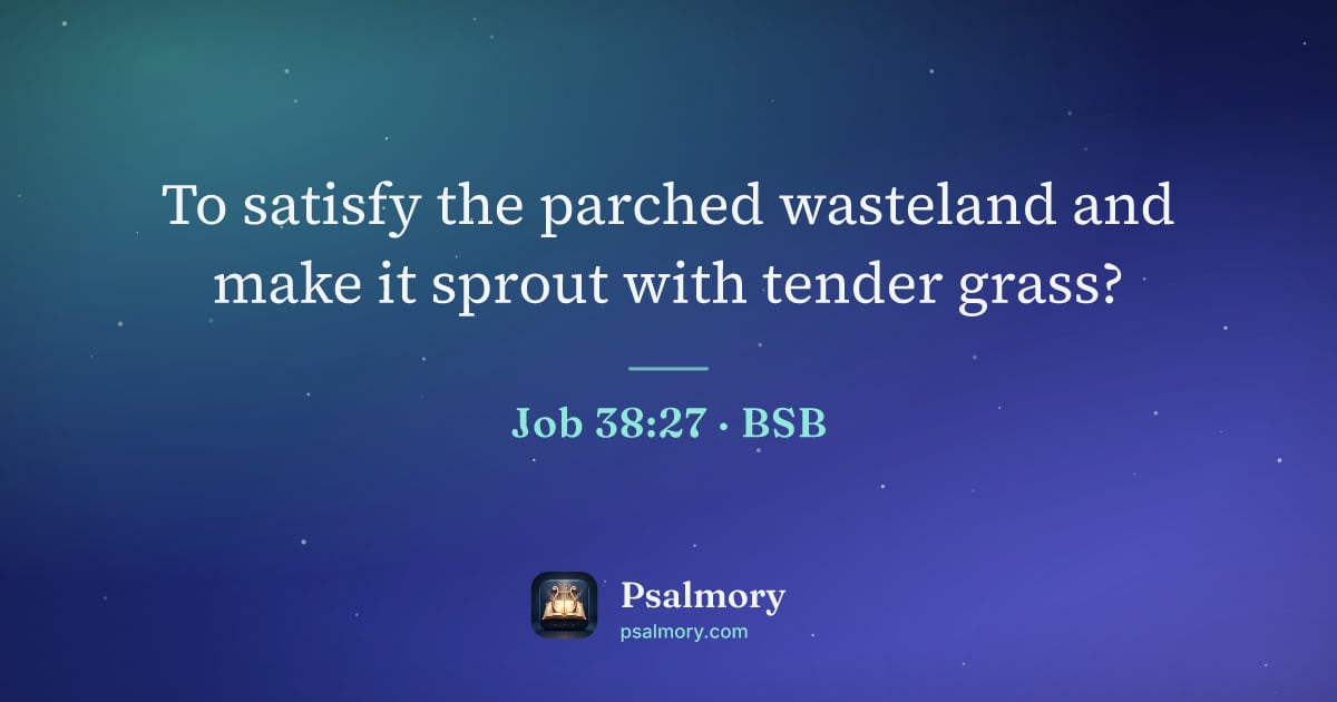 Job 38:27 verse artwork: To satisfy the parched wasteland and make it sprout with tender grass?