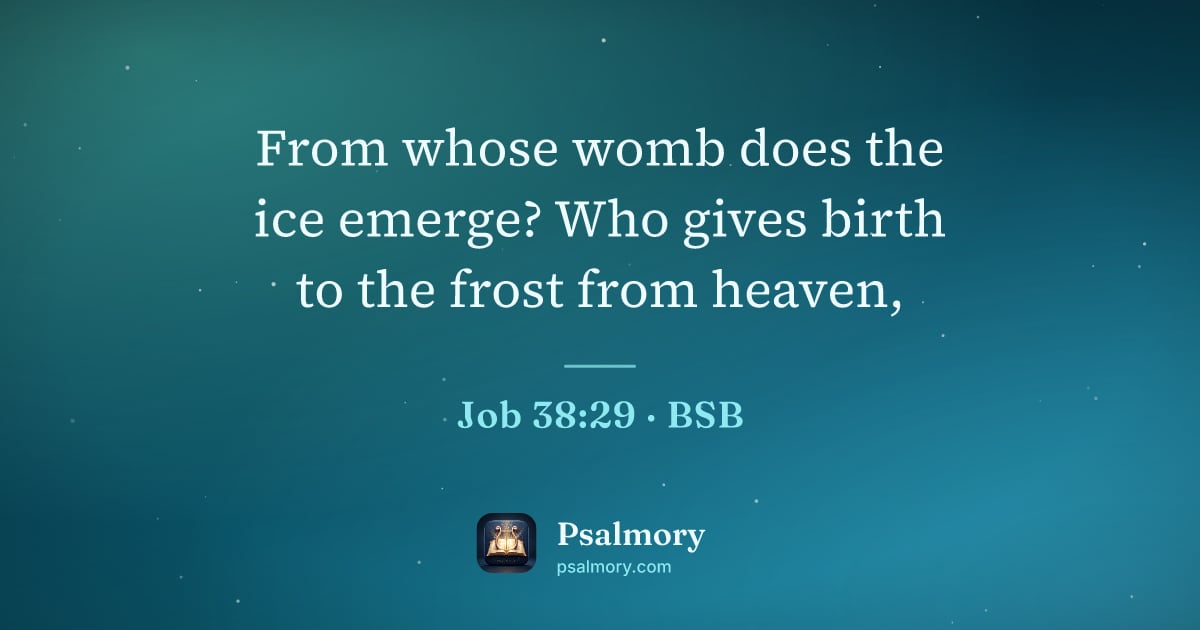 Job 38:29 verse artwork: From whose womb does the ice emerge? Who gives birth to the frost from heaven,