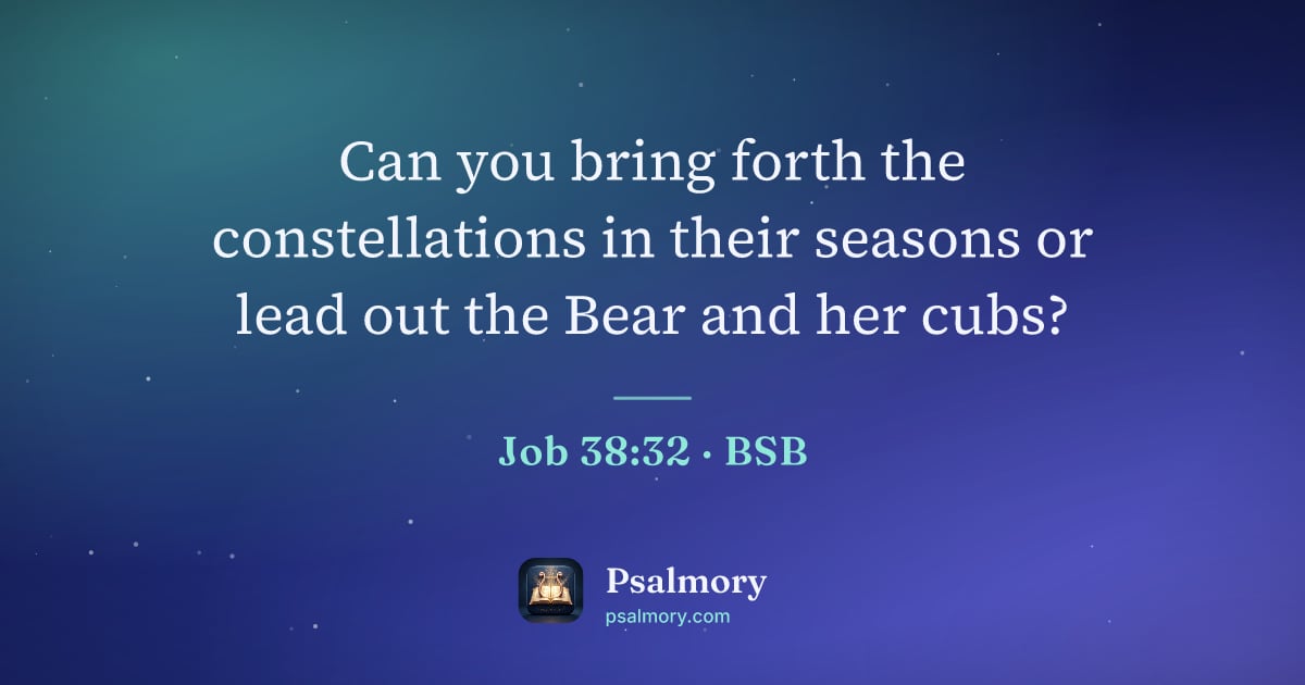 Job 38:32 verse artwork: Can you bring forth the constellations in their seasons or lead out the Bear and her cubs?
