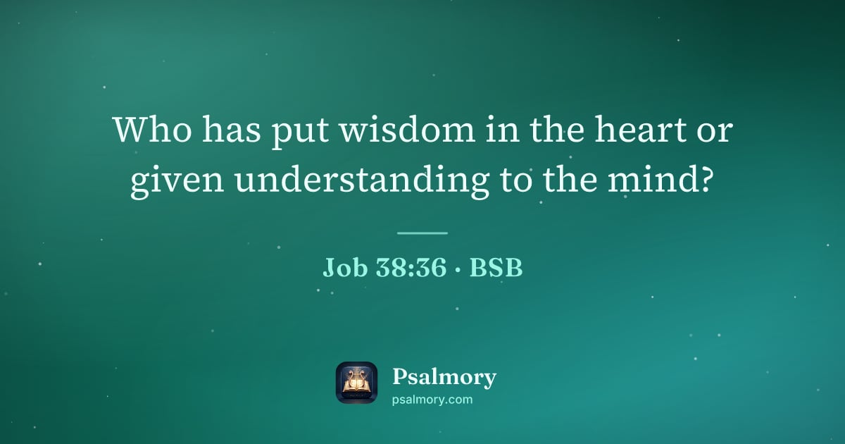 Job 38:36 verse artwork: Who has put wisdom in the heart or given understanding to the mind?