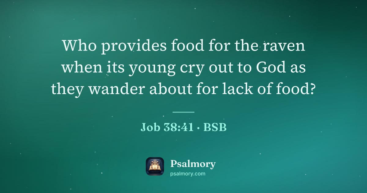 Job 38:41 verse artwork: Who provides food for the raven when its young cry out to God as they wander about for…