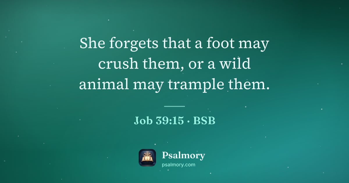 Job 39:15 verse artwork: She forgets that a foot may crush them, or a wild animal may trample them.