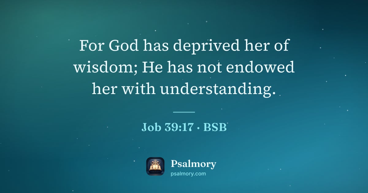 Job 39:17 verse artwork: For God has deprived her of wisdom; He has not endowed her with understanding.