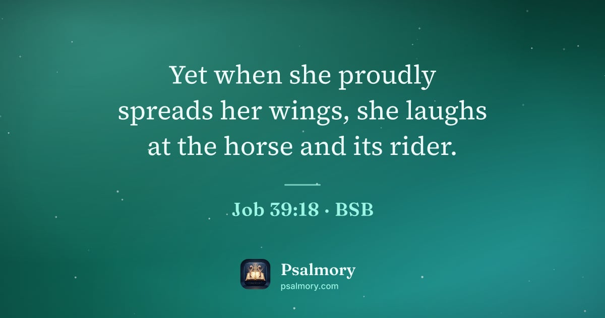 Job 39:18 verse artwork: Yet when she proudly spreads her wings, she laughs at the horse and its rider.
