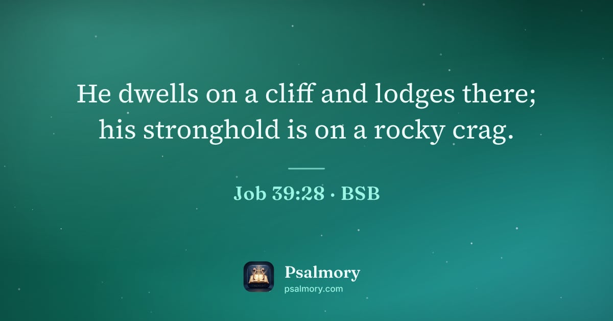 Job 39:28 verse artwork: He dwells on a cliff and lodges there; his stronghold is on a rocky crag.
