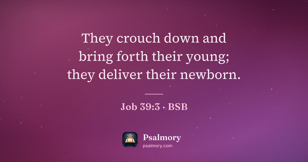 Job 39:3 verse artwork: They crouch down and bring forth their young; they deliver their newborn.
