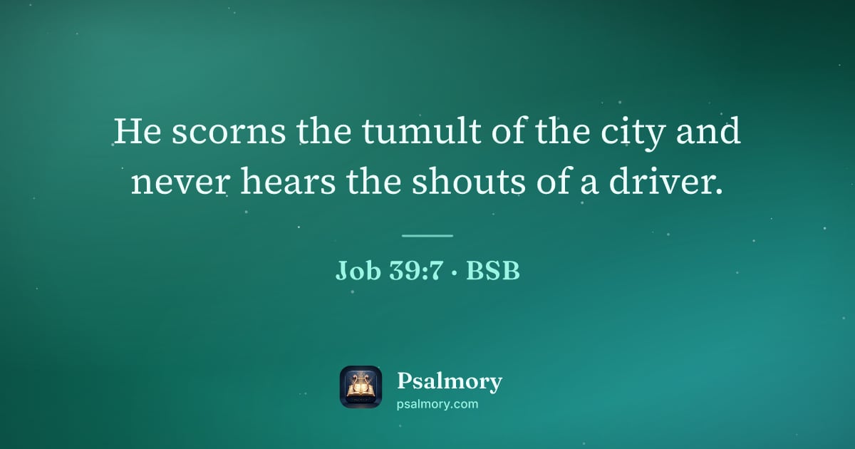 Job 39:7 verse artwork: He scorns the tumult of the city and never hears the shouts of a driver.