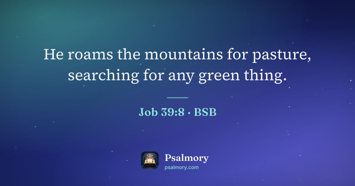 Job 39:8 verse artwork: He roams the mountains for pasture, searching for any green thing.