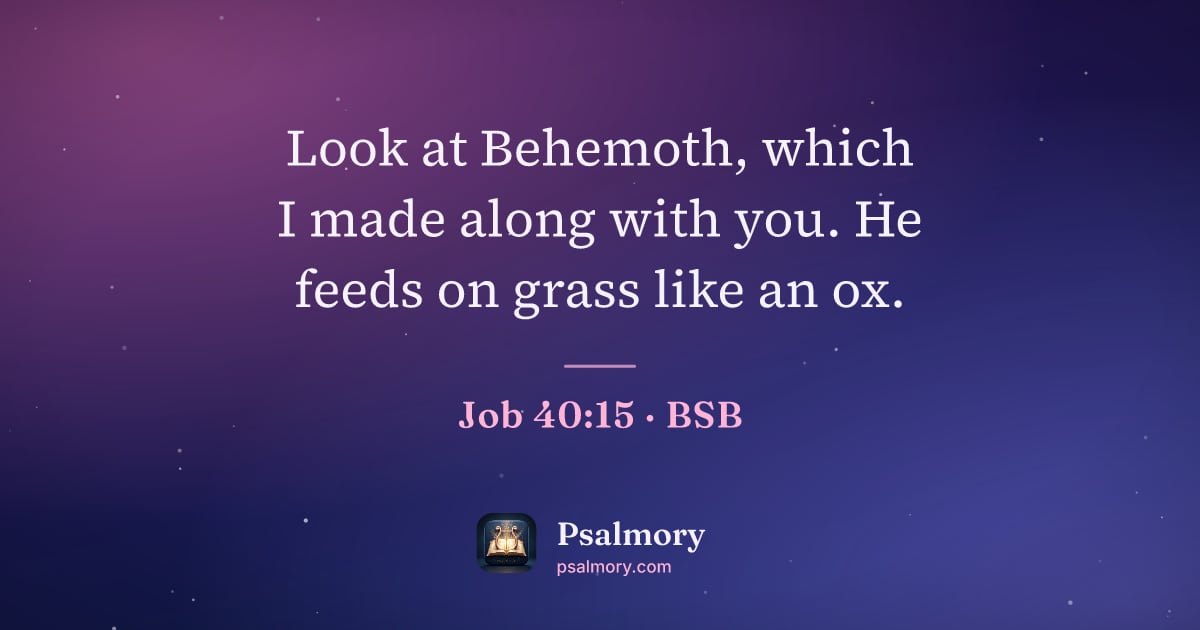 Job 40:15 verse artwork: Look at Behemoth, which I made along with you. He feeds on grass like an ox.