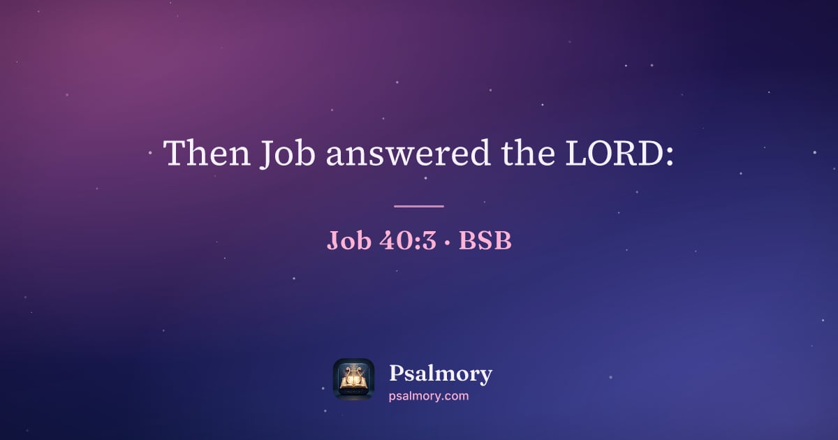 Job 40:3 verse artwork: Then Job answered the LORD: