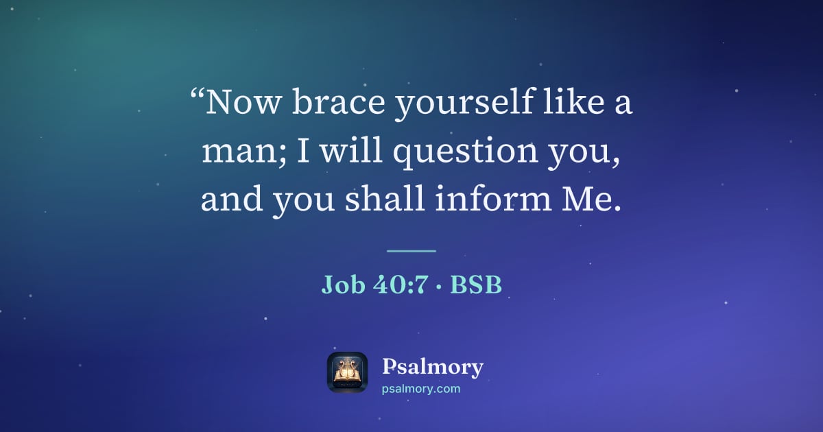 Job 40:7 verse artwork: “Now brace yourself like a man; I will question you, and you shall inform Me.