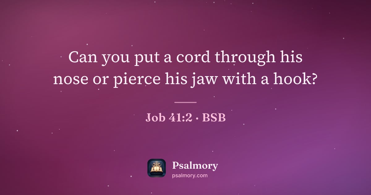 Job 41:2 verse artwork: Can you put a cord through his nose or pierce his jaw with a hook?