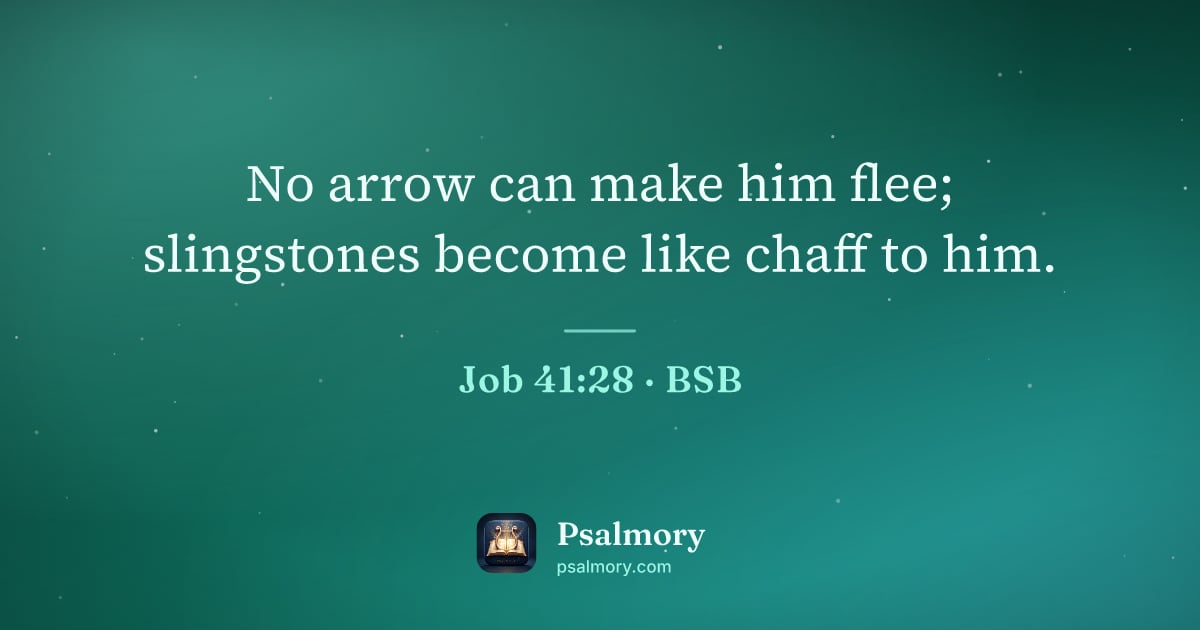 Job 41:28 verse artwork: No arrow can make him flee; slingstones become like chaff to him.