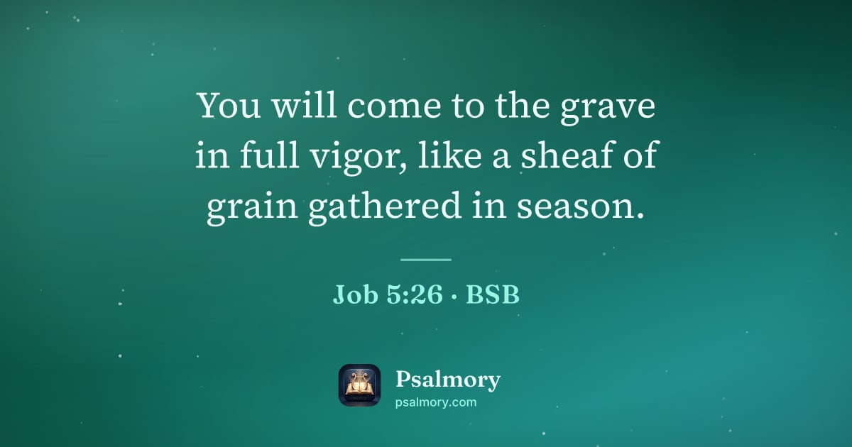 Job 5:26 verse artwork: You will come to the grave in full vigor, like a sheaf of grain gathered in season.