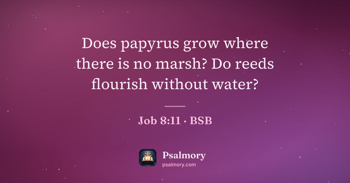 Job 8:11 verse artwork: Does papyrus grow where there is no marsh? Do reeds flourish without water?