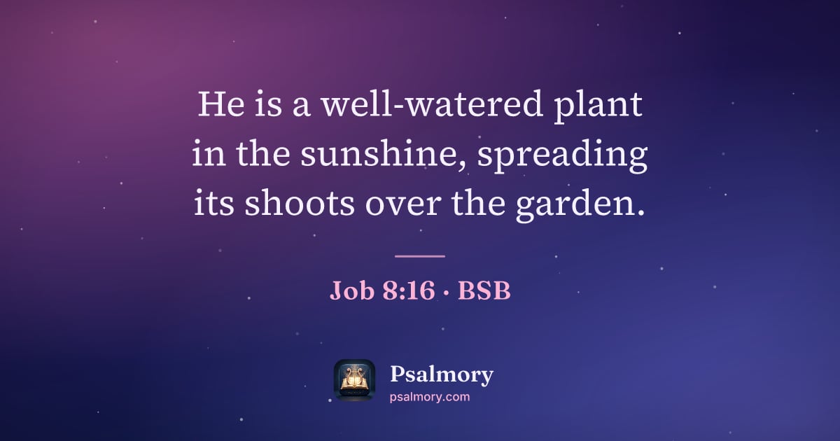 Job 8:16 verse artwork: He is a well-watered plant in the sunshine, spreading its shoots over the garden.