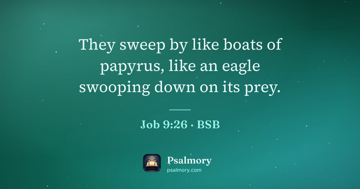 Job 9:26 verse artwork: They sweep by like boats of papyrus, like an eagle swooping down on its prey.