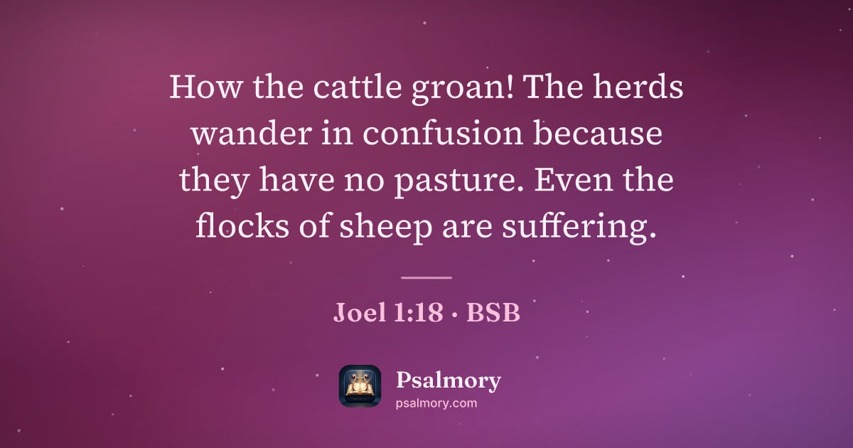 Joel 1:18 verse artwork: How the cattle groan! The herds wander in confusion because they have no pasture. Even…