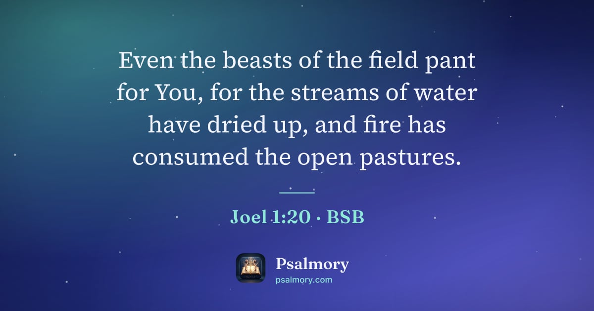 Joel 1:20 verse artwork: Even the beasts of the field pant for You, for the streams of water have dried up, and…