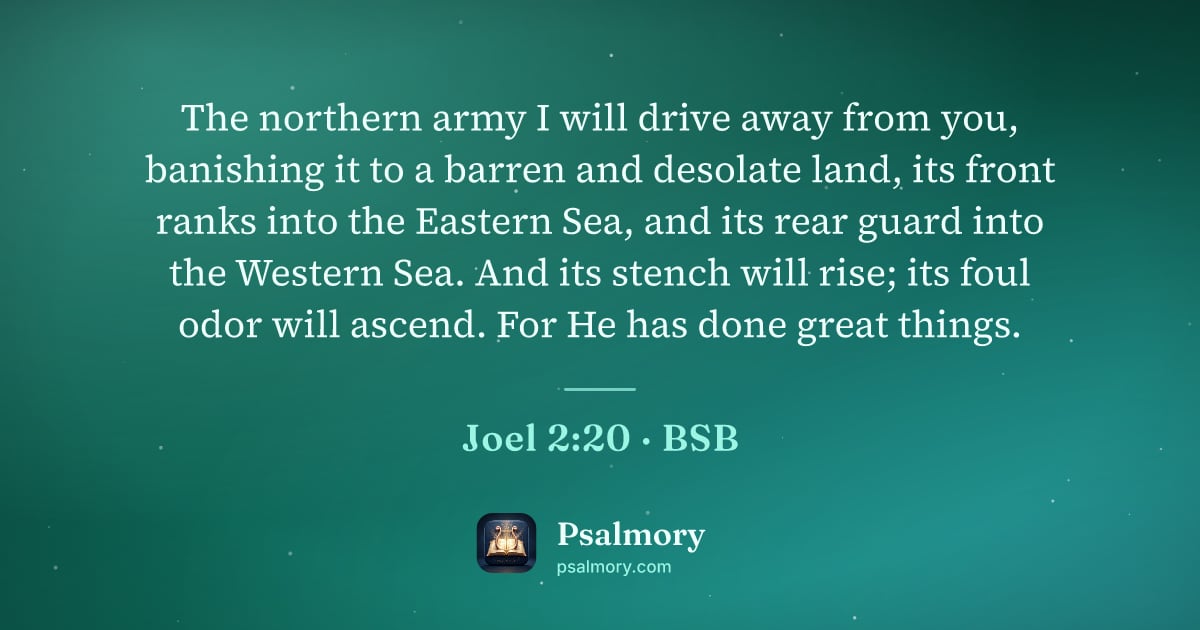 Joel 2:20 verse artwork: The northern army I will drive away from you, banishing it to a barren and desolate…