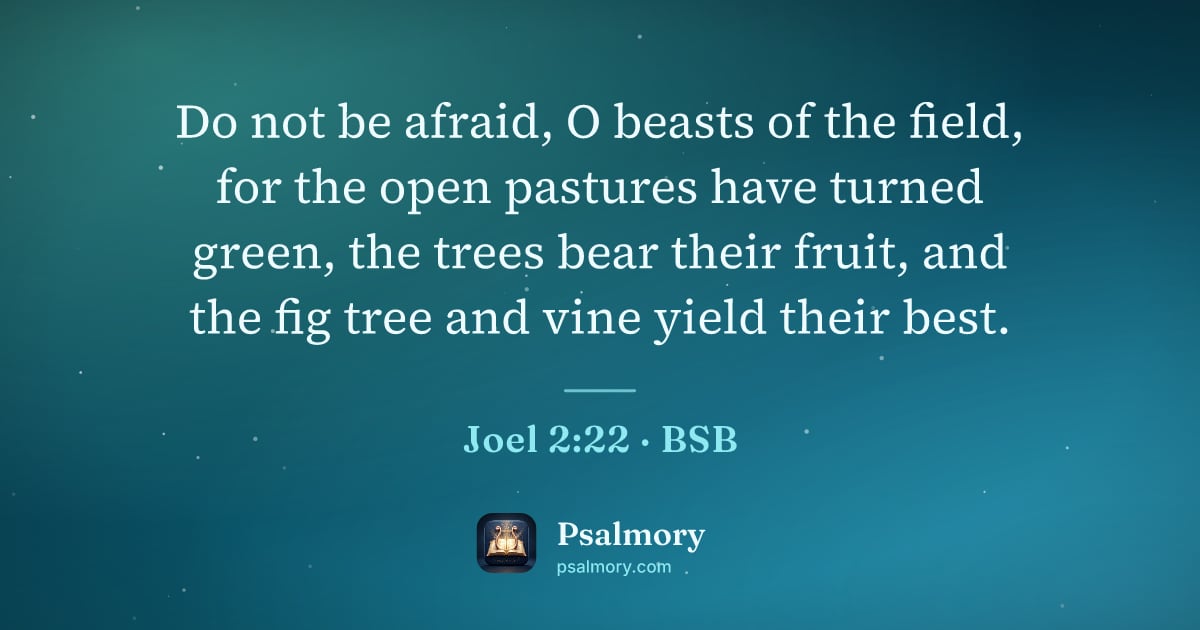 Joel 2:22 verse artwork: Do not be afraid, O beasts of the field, for the open pastures have turned green, the…
