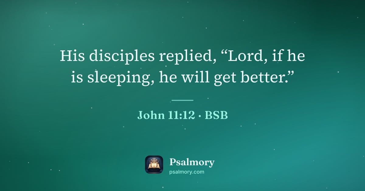 John 11:12 verse artwork: His disciples replied, “Lord, if he is sleeping, he will get better.”