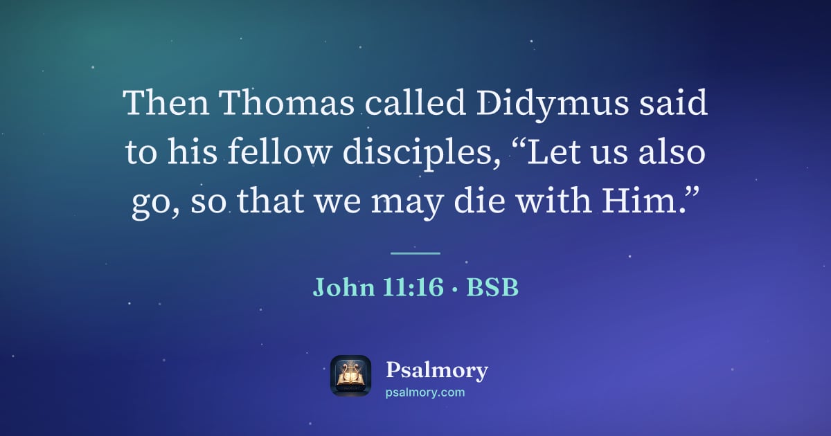 John 11:16 verse artwork: Then Thomas called Didymus said to his fellow disciples, “Let us also go, so that we may…