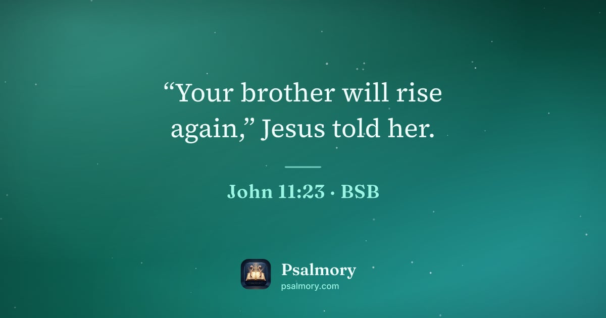 John 11:23 verse artwork: “Your brother will rise again,” Jesus told her.