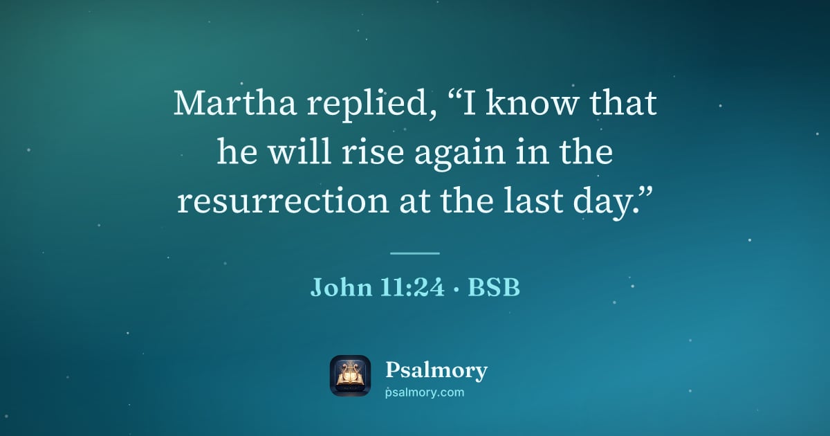 John 11:24 verse artwork: Martha replied, “I know that he will rise again in the resurrection at the last day.”