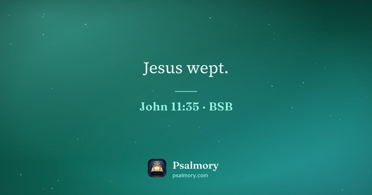John 11:35 verse artwork: Jesus wept.