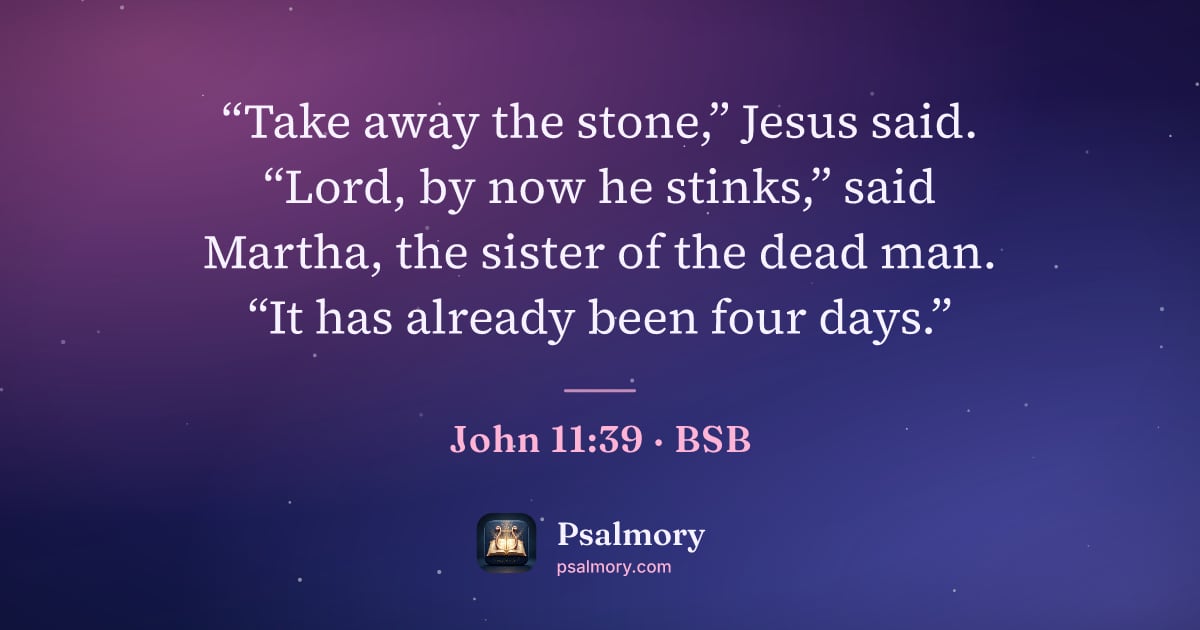 John 11:39 verse artwork: “Take away the stone,” Jesus said. “Lord, by now he stinks,” said Martha, the sister of…