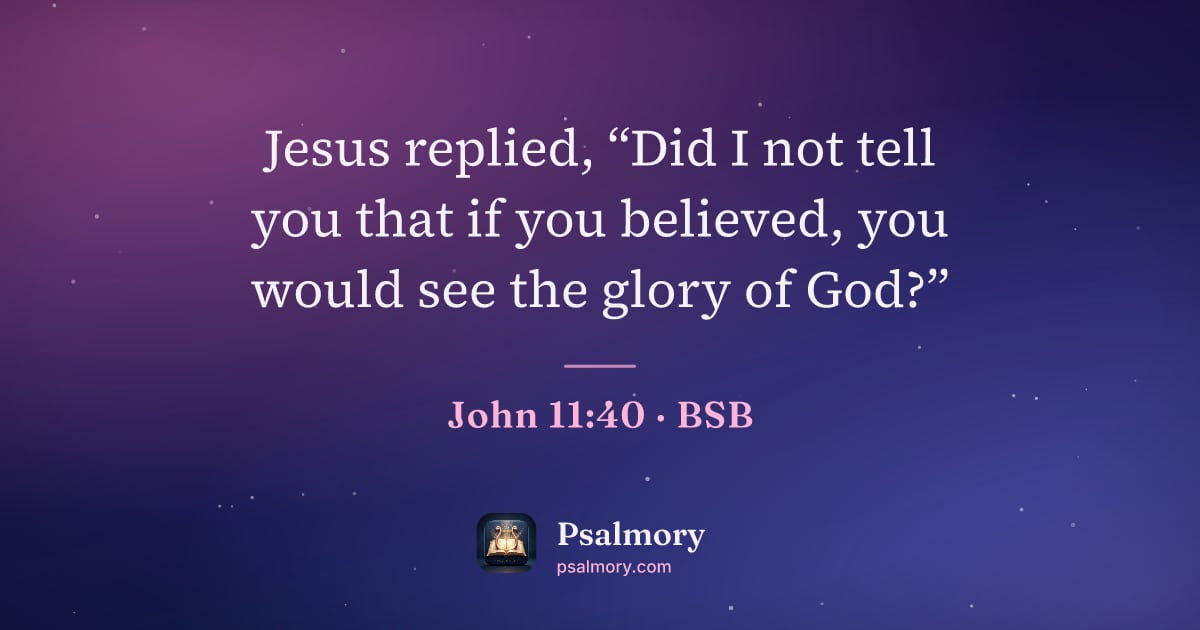 John 11:40 verse artwork: Jesus replied, “Did I not tell you that if you believed, you would see the glory of God?”