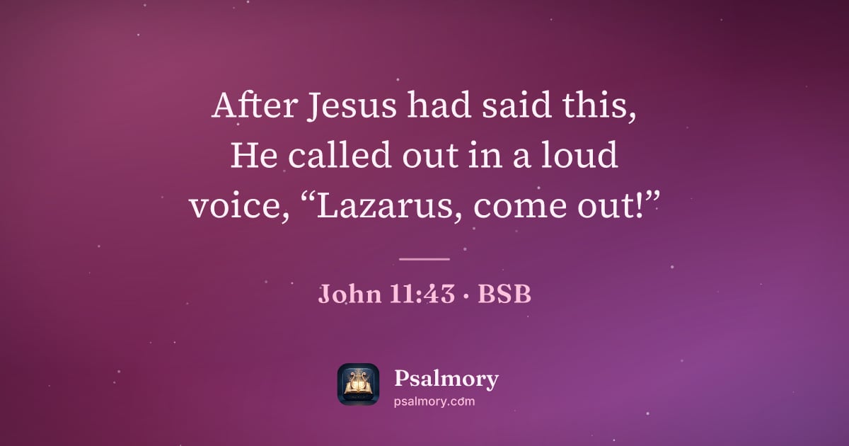 John 11:43 verse artwork: After Jesus had said this, He called out in a loud voice, “Lazarus, come out!”