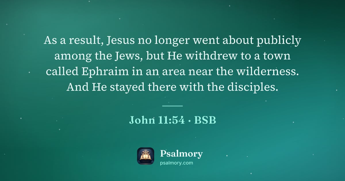 John 11:54 verse artwork: As a result, Jesus no longer went about publicly among the Jews, but He withdrew to a…