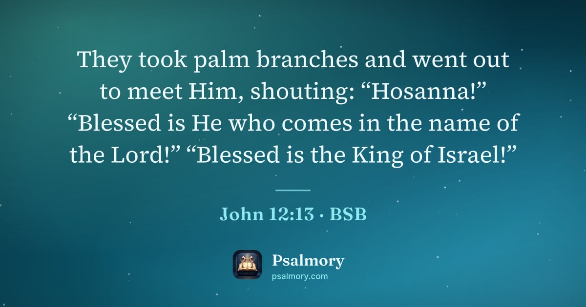 John 12:13 verse artwork: They took palm branches and went out to meet Him, shouting: “Hosanna!” “Blessed is He…