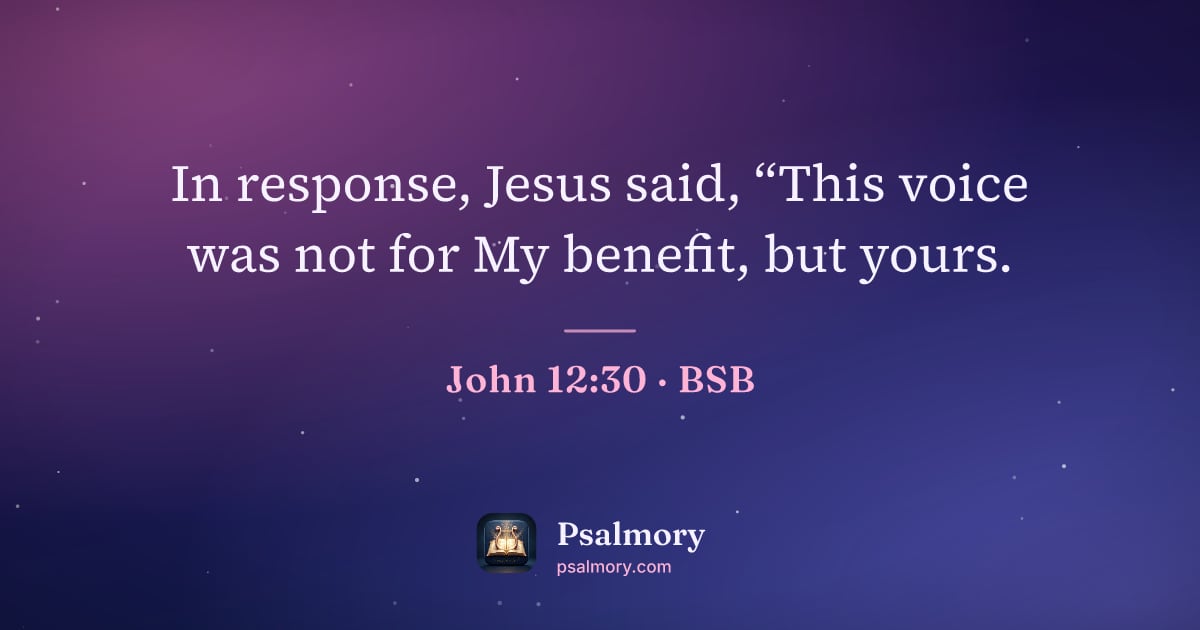 John 12:30 verse artwork: In response, Jesus said, “This voice was not for My benefit, but yours.