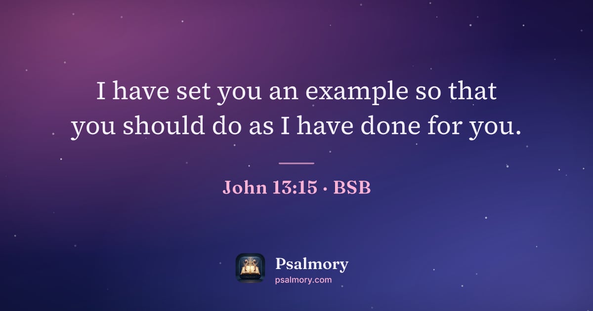 John 13:15 verse artwork: I have set you an example so that you should do as I have done for you.
