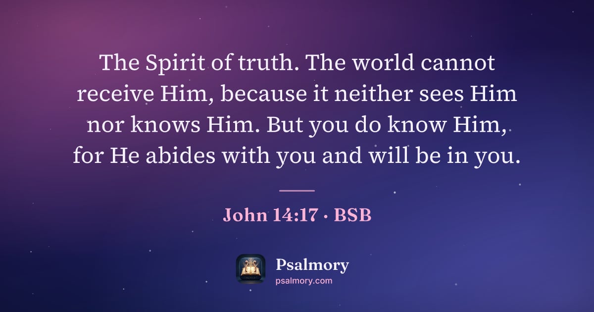 John 14:17 verse artwork: The Spirit of truth. The world cannot receive Him, because it neither sees Him nor knows…