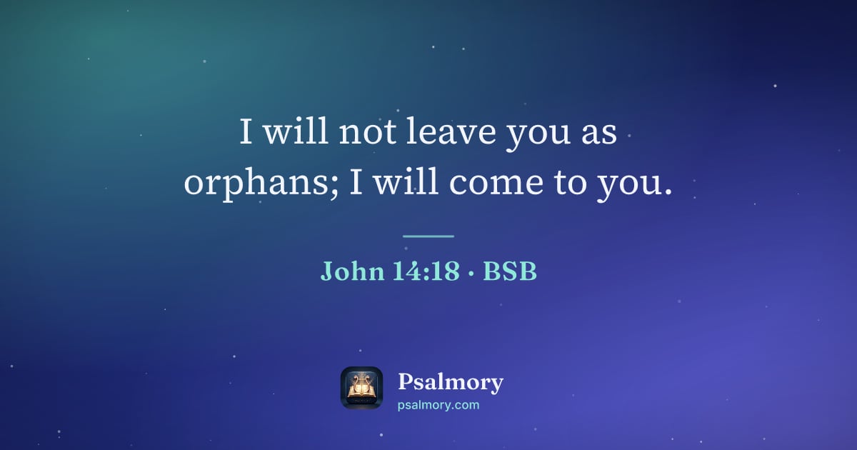 John 14:18 verse artwork: I will not leave you as orphans; I will come to you.