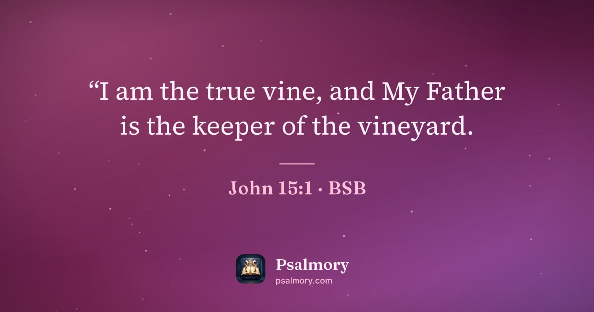 John 15:1 verse artwork: “I am the true vine, and My Father is the keeper of the vineyard.