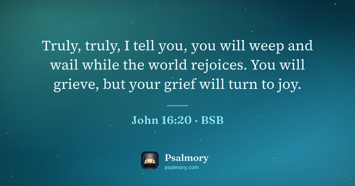 John 16:20 verse artwork: Truly, truly, I tell you, you will weep and wail while the world rejoices. You will…